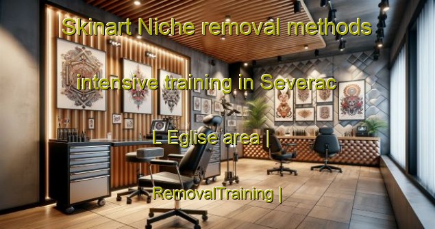 Skinart Niche removal methods intensive training in Severac L Eglise area | RemovalTraining | RemovalClasses | SkinartTraining-France